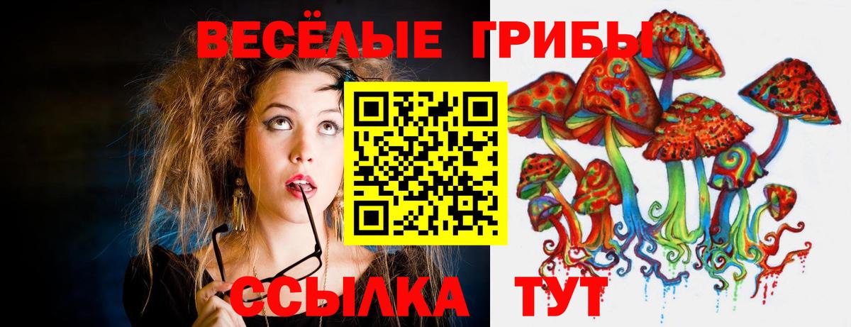 Псилоцибиновые грибы мухоморы  Галлюциногенные грибы мухоморы  Северск  Вход с VPN 