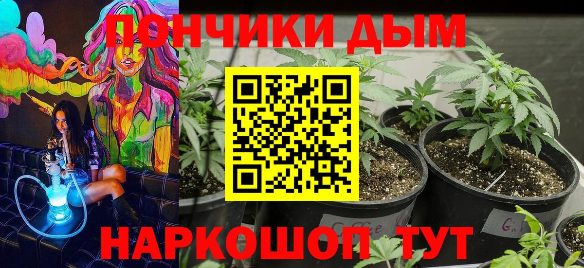 Северск  Каннабис семена  МАРИХУАНА гибрид  Вход с VPN 